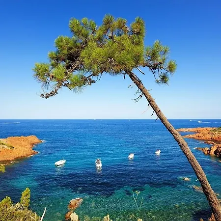 Les Flots Bleus Face A La Au Pied Du Massif De L'esterel Apartmán *